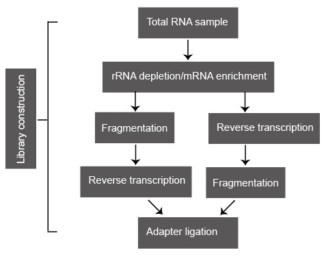 Figure 2. RNA-seq library construction pipeline.