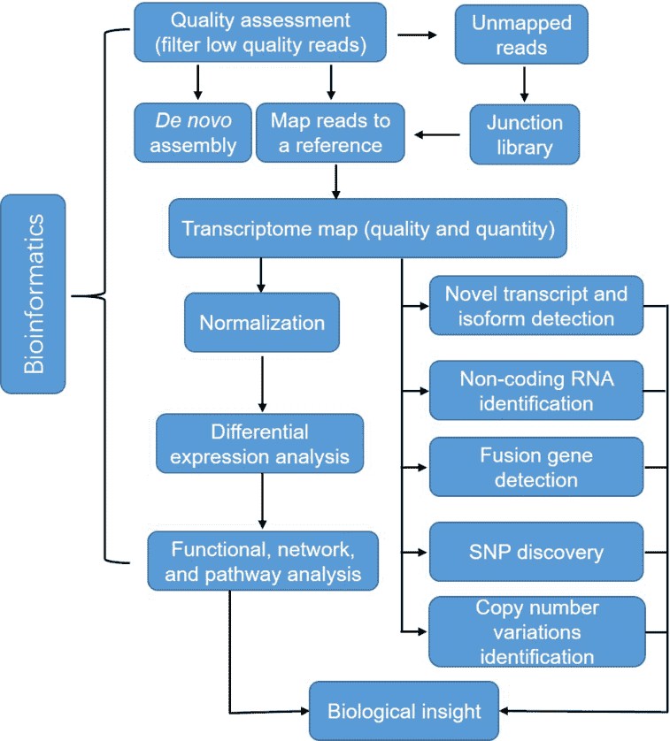 Figure 3. Data analysis pipeline for RNA-seq.