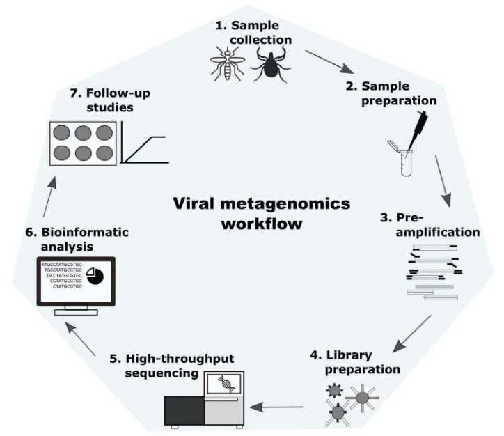 Figure 1. Schematic representation illustrating the workflow for metagenomic analysis of viruses (Cholleti et al., 2018).