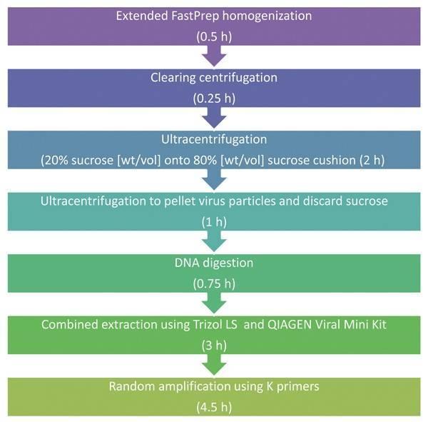 Figure 2. Diagram outlining the clinical-based universal virus enrichment protocol for viral metagenomics (Kohl et al., 2015).