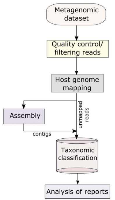 Figure 3. Overview of the fundamental informatics analysis involved in viral metagenomics (Cholleti et al., 2018).