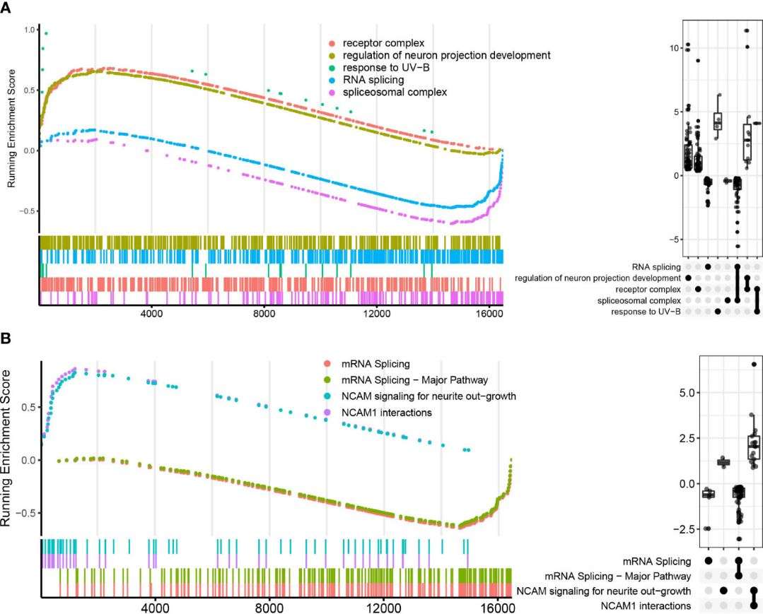 Figure 4: Enrichment analysis of GO and Reactome pathways in LTBI vs. HC using GSEA enrichment plot. (Geng et al., 2022)