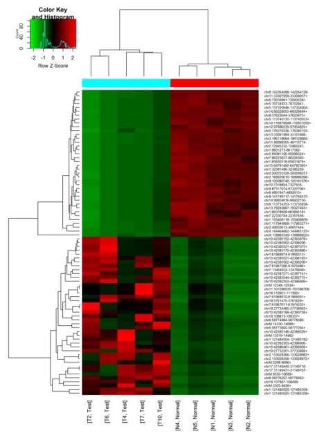 Transcriptome Sequencing