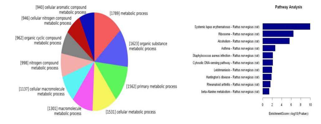 Transcriptome Sequencing