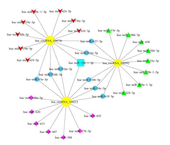 Transcriptome Sequencing