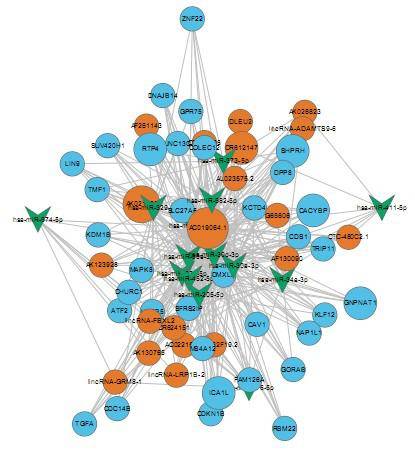 Transcriptome Sequencing