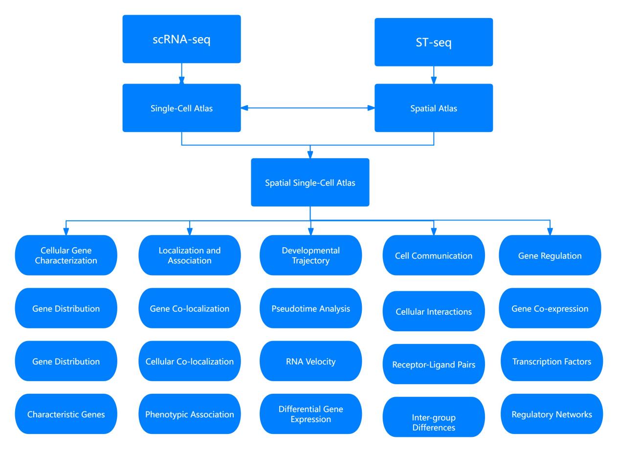 Illustration of integrative approaches to combining single-cell and spatial transcriptomics for comprehensive analysis.