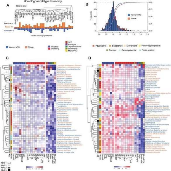 Disease-based cell type expression in mouse and human.