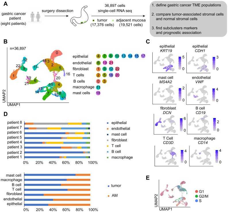 Single-cell sequencing technologies for gastric cancer.