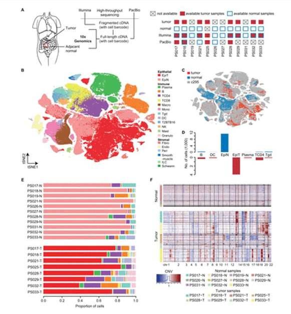 The short-read single-cell transcriptomic atlas of human CRC.