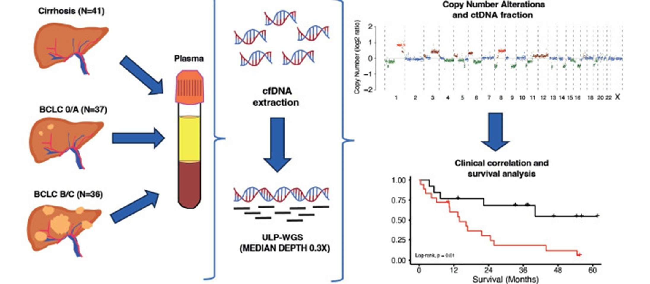 Evaluation of the prognostic significance of ultra-low-pass whole-genome sequencing for circulating tumor DNA in hepatocellular carcinoma under systemic therapy. (Sogbe, Miguel, et al., 2023)