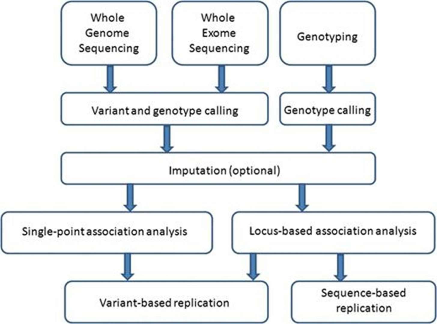 Summary of methodological approaches for identifying low-frequency and rare variants linked to complex traits. (Panoutsopoulou, et al., 2013)