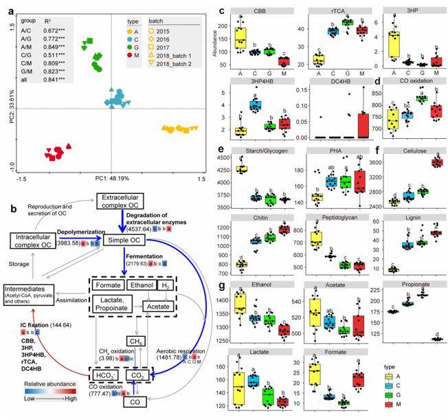 Carbon cycling based on metagenomic sequencing.