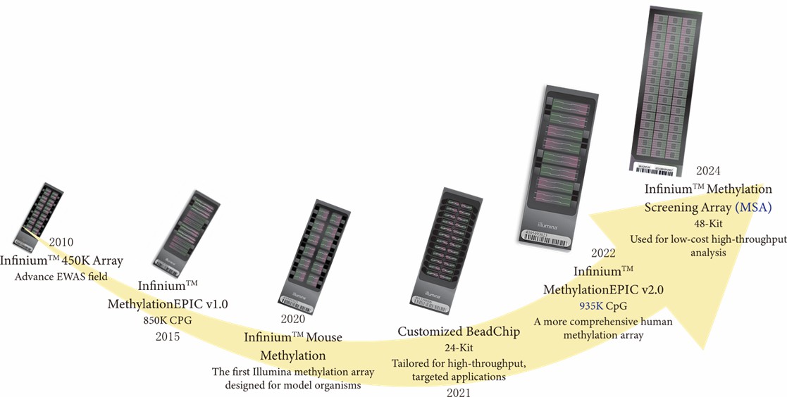 Summary of the Infinium I and II DNA methylation assays. (Dedeurwaerder, Sarah, et al. 2011)