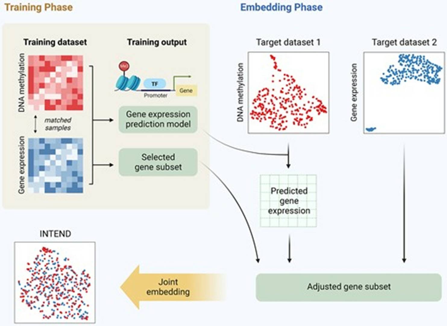 Interconnection between environmental and genetic factors in epigenetics. (Li, Jiaqi, et al., 2021)