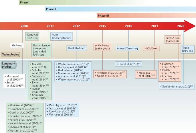 Utilizing RNA Sequencing for The Analysis of Host-Microbe Interactions