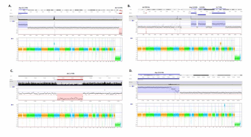Applications of Low-Pass Whole Genome Sequencing in Clinical Cytogenetics
