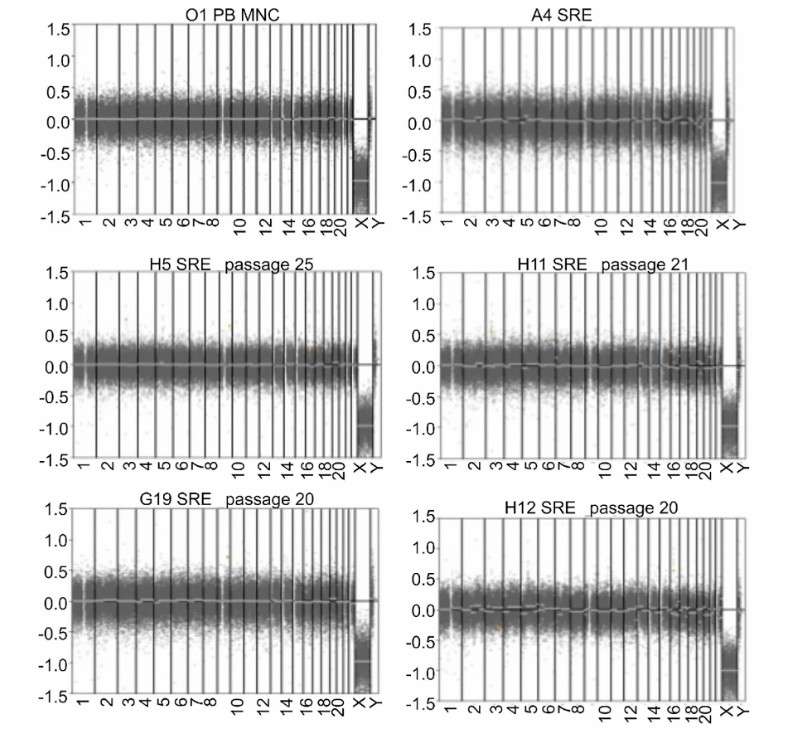 Results of CNVs analysis by LP-WGS using the CNVkit software (Olivier et al., 2024)