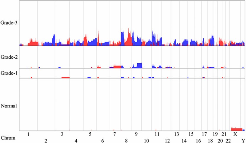CNVs results in urine sediment of bladder tumors (Cai et al., 2021)
