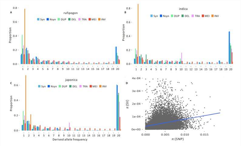Figure 4: Spectrum of Structural Variant (SV) Frequencies. (Yixuan et al., 2020)
