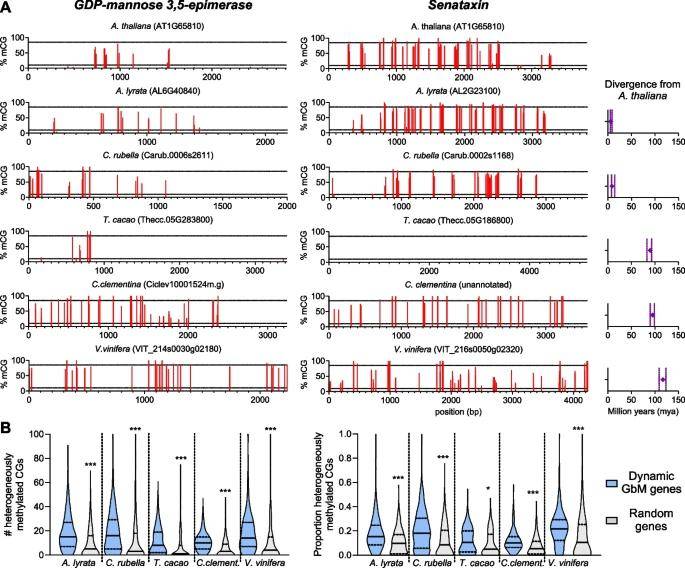 Evolutionary conservation of the Dynamic GbM state.