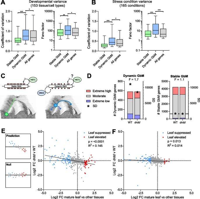 Dynamic GbM is associated with increased gene expression plasticity.