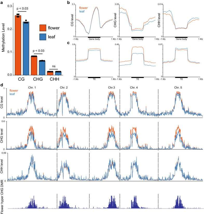 Methylation levels were detected in Arabidopsis leaf and flower samples through EM-seq (Feng et al., 2020)
