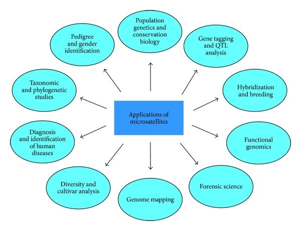 Applications of microsatellite markers