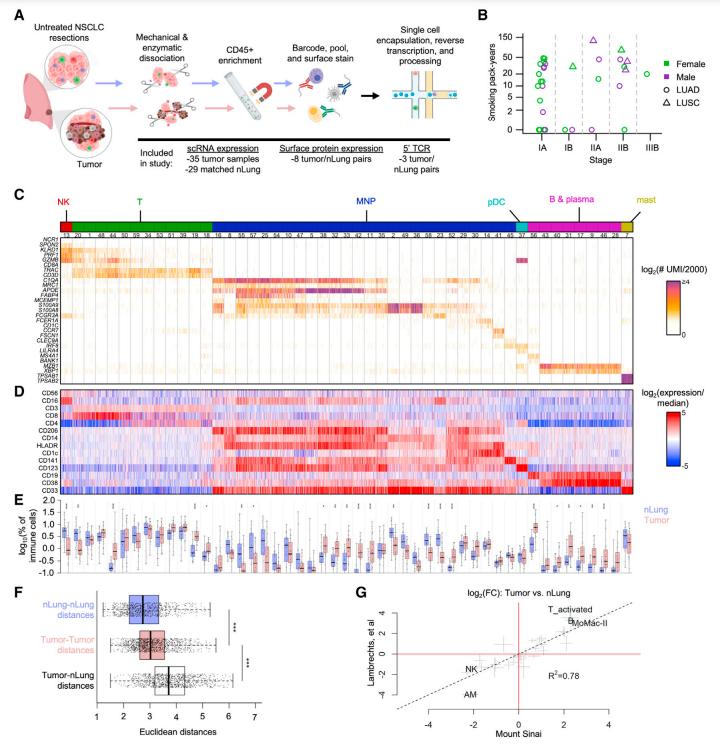 scRNA-seq and CITE-seq establish the diversity of transcriptional states in the tumor microenvironment. (Leader et al., 2021)