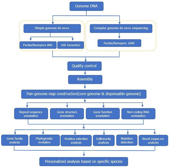 CD Genomics Pan-genome service workflow