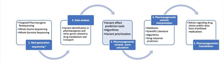 A schematic representation for the clinical pharmacogenomics workflow described herein. 