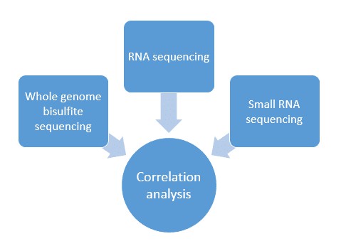 Analysis results of integrated ATAC-seq and RNA-seq results.