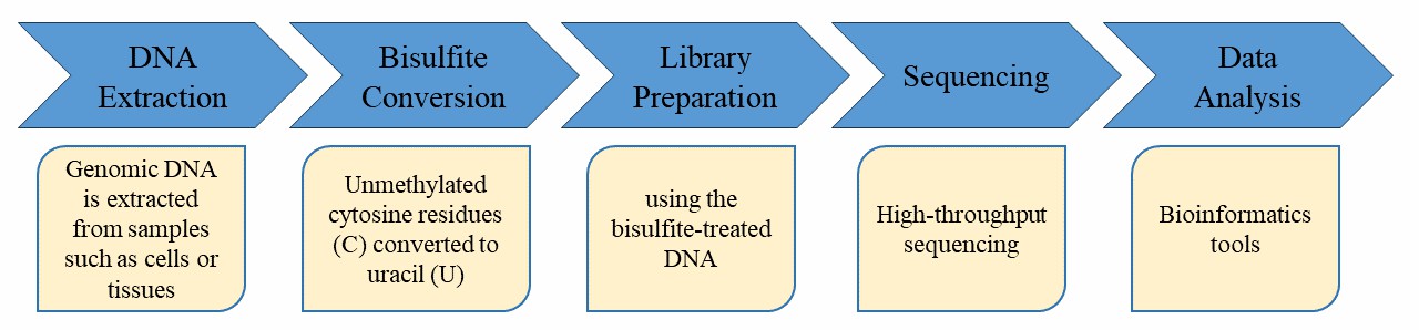 Ribosome-protected mRNA