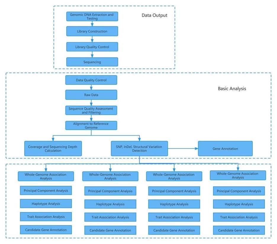 Workflow of Whole-Genome Resequencing