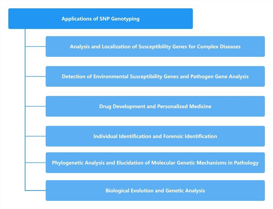 Why Detect SNP Genotyping?