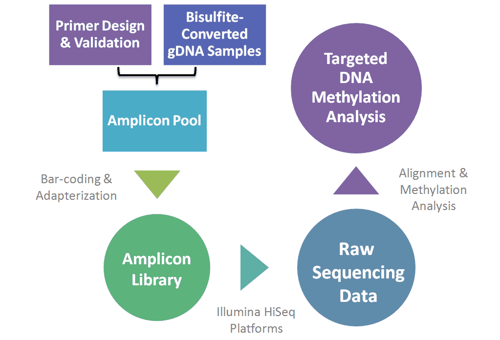 Workflow diagram of KSP genotyping procedure