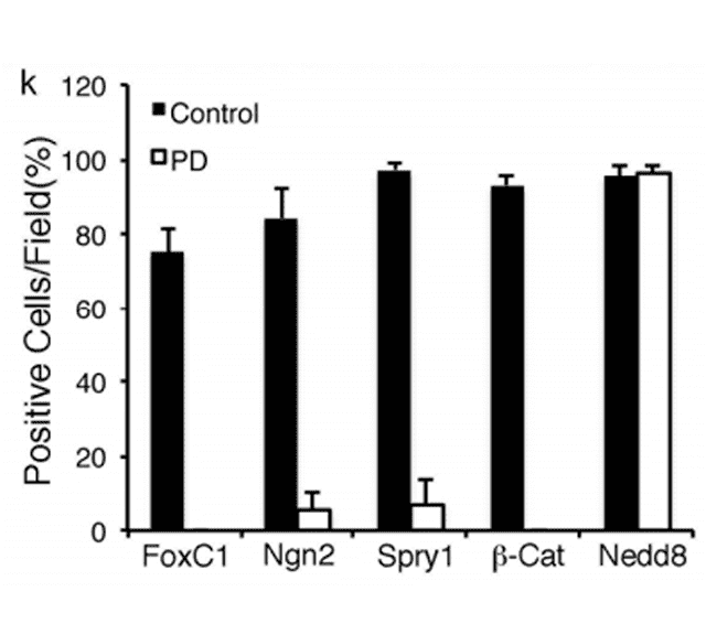 Quantitative analysis revealed a significant increase of cells with reduced or no detectable expression of these genes.