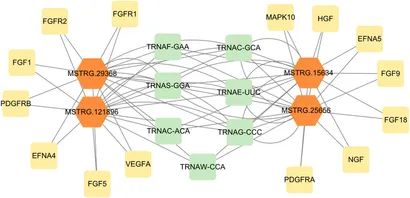 Figure 10. Regulatory Network of Differentially Expressed lncRNAs and Target Genes. (Wei et al., Long-chain noncoding RNA sequencing analysis reveals the molecular profiles of chemically induced mammary epithelial cells, 2023)