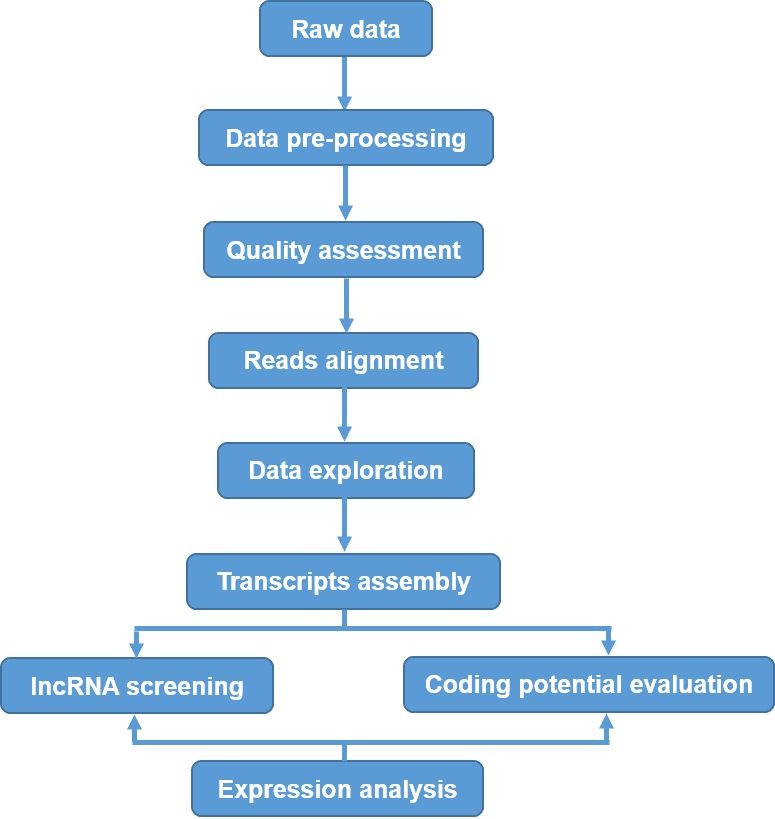 Figure 3. Summary of Data Analysis and lncRNA Identification.