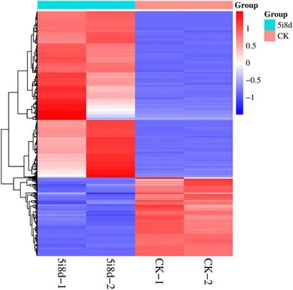Figure 7. Heatmap Showing Differential Expression of Target Genes. (Wei et al., Long-chain noncoding RNA sequencing analysis reveals the molecular profiles of chemically induced mammary epithelial cells, 2023)