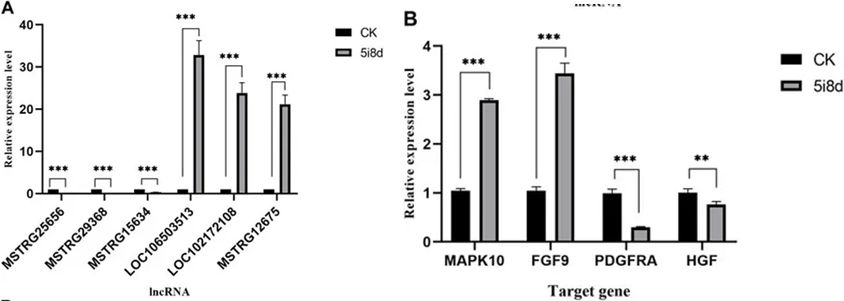 Figure 8. Comparison between lncRNA-Seq and RT-qPCR Analysis of Differentially Expressed lncRNAs and Target Genes in CK Group vs. 5i8d Group. (Wei et al., Long-chain noncoding RNA sequencing analysis reveals the molecular profiles of chemically induced mammary epithelial cells, 2023)