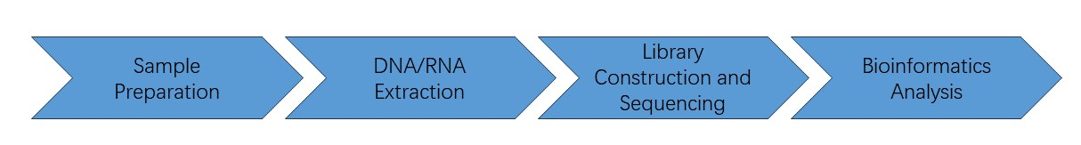 workflow-tcr-seq