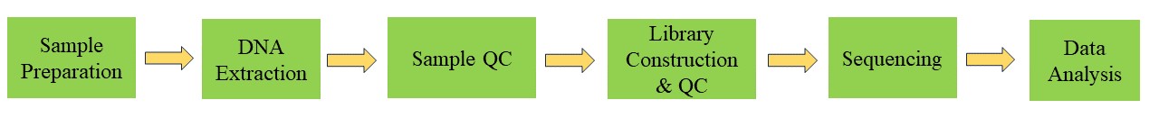 Ribosome-protected mRNA