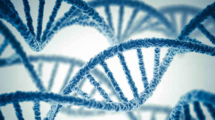 A Guide to <em>De Novo</em> Genome Assembly