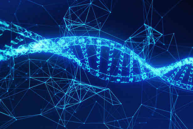 Bioinformatics Analysis of Viral Metagenomic Sequencing