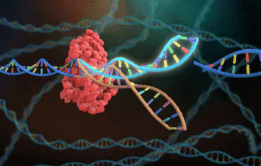 CRISPR Screening and Sequencing: Introduction, Workflow, and Applications