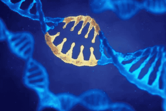 CRISPR Sequencing: Introduction, Workflow, and Applications