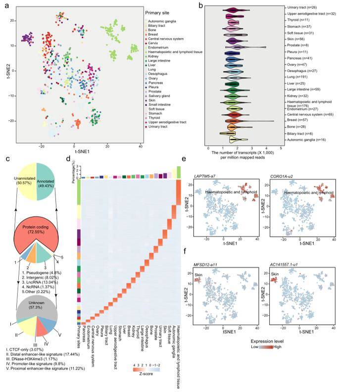 Transcriptional atlas across pan-cancer cell lines