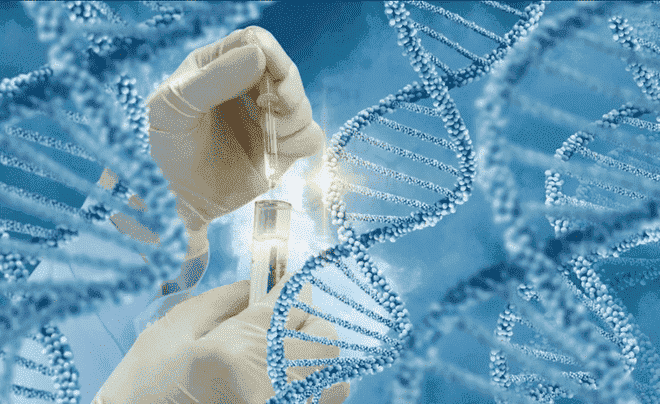 The Methods for DNA Extraction and Purification