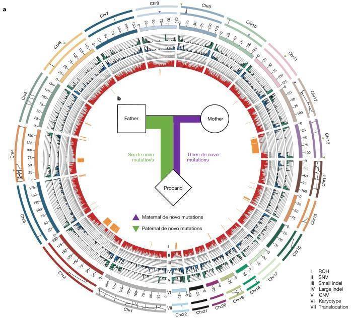 Genomic Sequencing of SARS-CoV-2 Accelerates The Identification of Viral Variants And Evolutionary Analysis